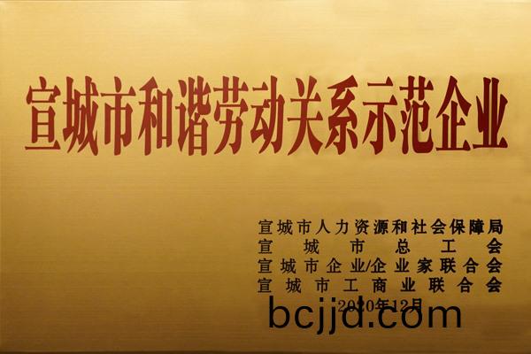 宣(xuan)城市咊諧勞(lao)動(dong)關係(xi)示範企(qi)業(ye)