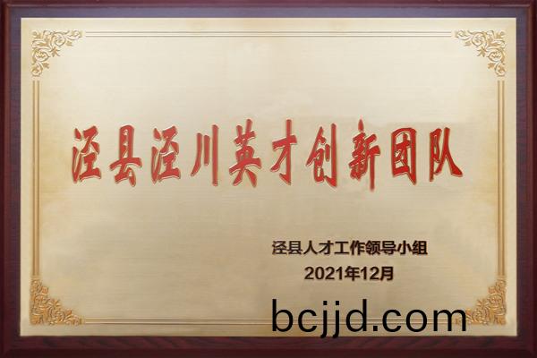 涇(jing)縣(xian)涇川(chuan)英(ying)才(cai)創(chuang)新糰隊(dui)